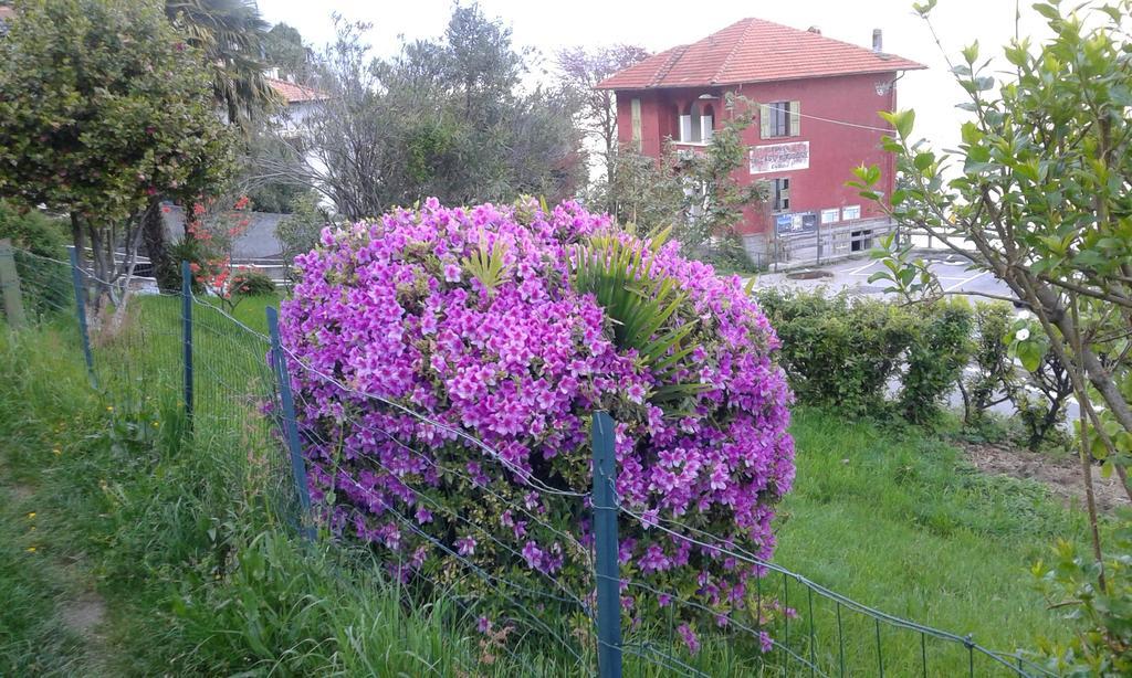 Vanni'S House Cannobio Luaran gambar