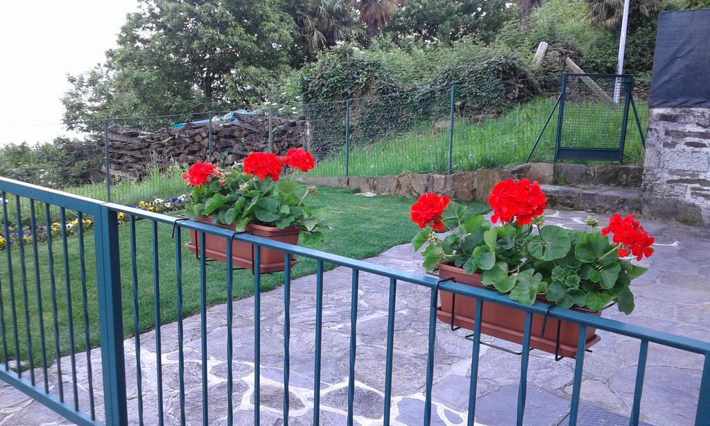 Vanni'S House Cannobio Luaran gambar